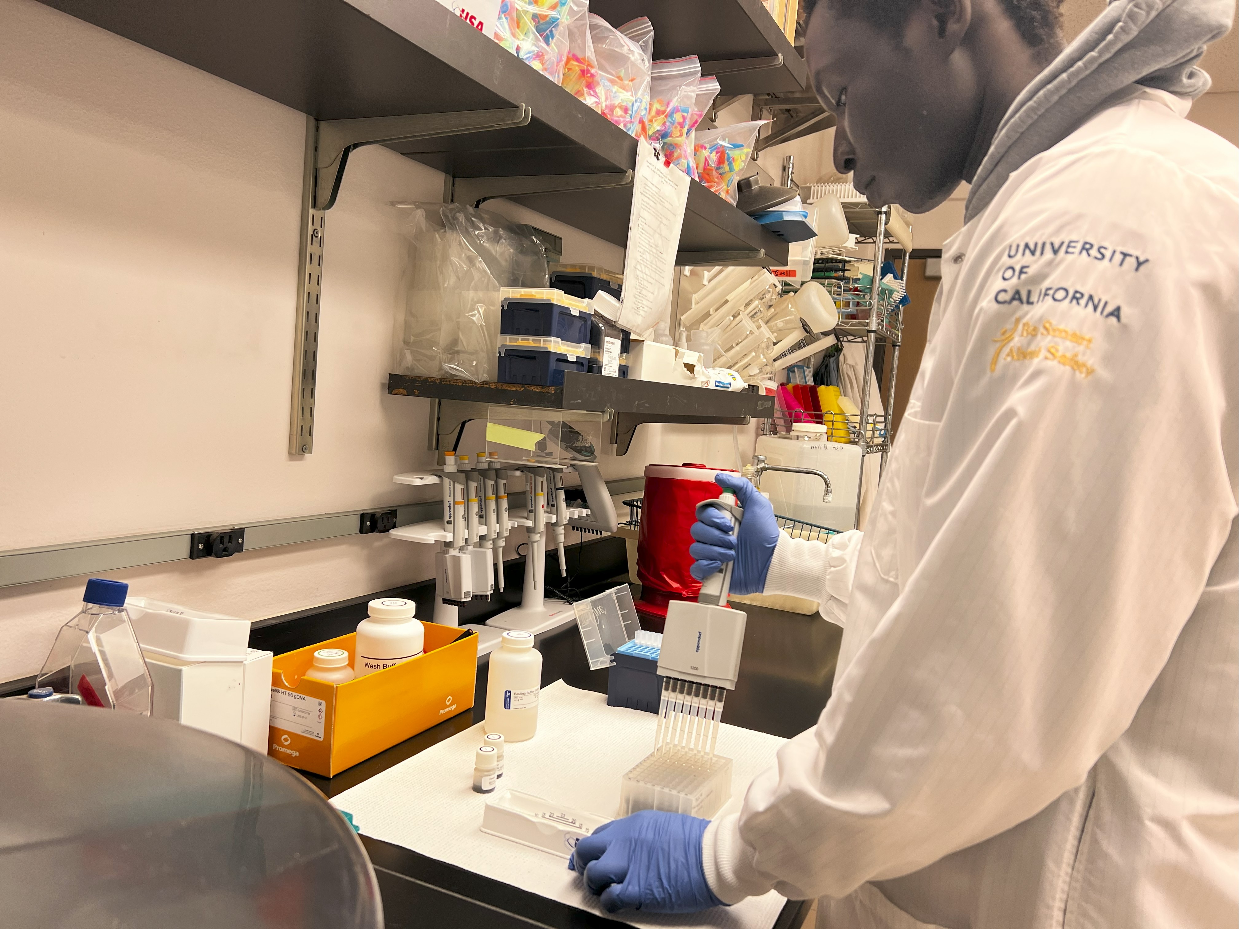 Lab worker in white coat and gloves arranging vials and boxes 